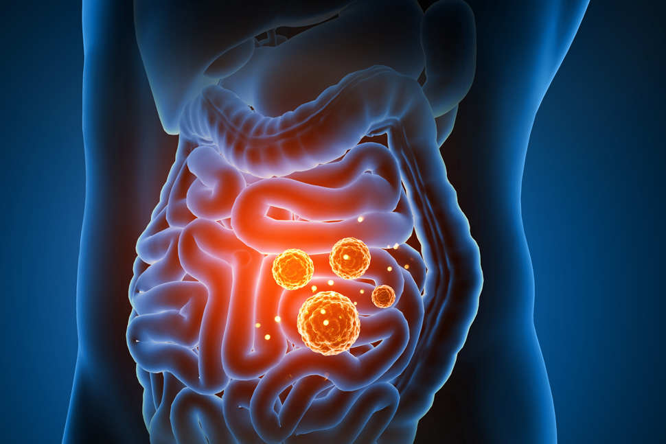 5 Hidden Youthifying Benefits of a Healthy Gut-Skin Axis