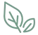 Plant Powered Skincare